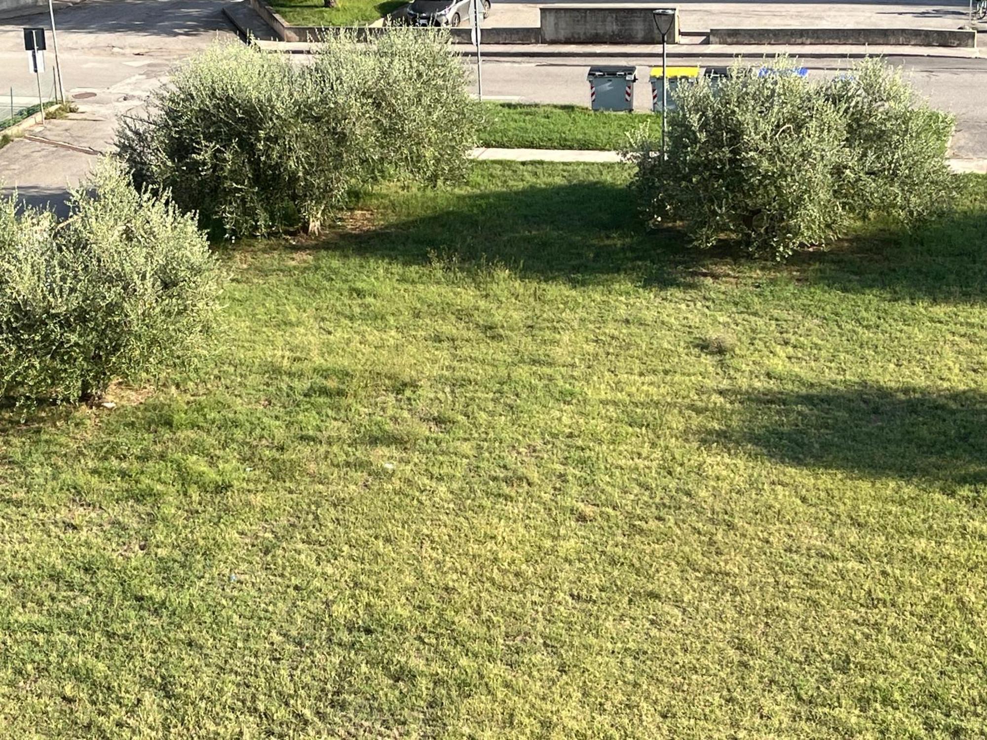 Casa Ivana كاستيغليون ديل لاغو المظهر الخارجي الصورة